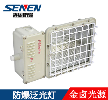 防爆泛光燈BAT52 防爆泛光燈BAT52