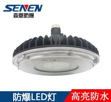 不銹鋼防爆LED燈 不銹鋼防爆LED燈