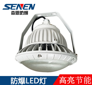 BAD85高亮節能LED防爆泛光燈 BAD85高亮節能LED防爆泛光燈