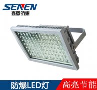 CCD97免維護LED防爆泛光燈