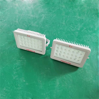 BSX86-C防爆LED燈50W BSX86-C防爆LED燈50W