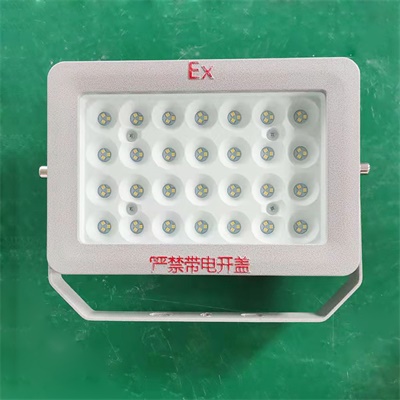 防爆LED泛光燈BSX86 防爆LED泛光燈BSX86